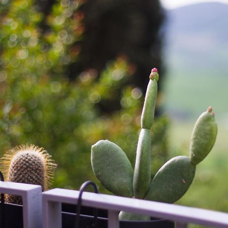Appartamento Con Vista - Montepulciano Stazione Exterior foto